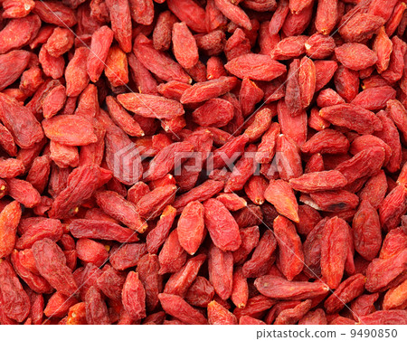 Dried wolfberry fruit Dried wolfberry fruit 9490850