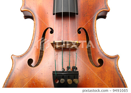 violin close up 9491085