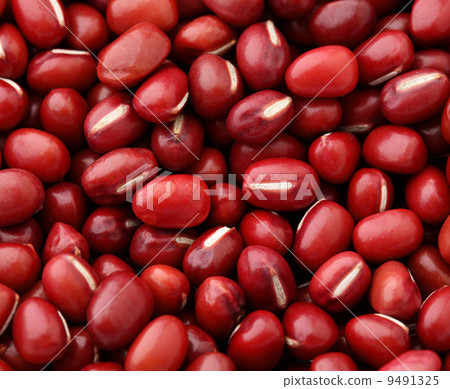 Adzuki Red Bean 9491325