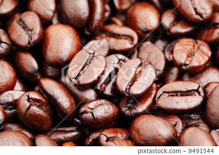 coffee bean 9491544