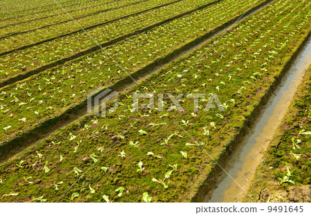 farm field farm field 9491645