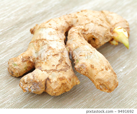 ginger root ginger root 9491692