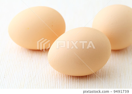 egg egg 9491739