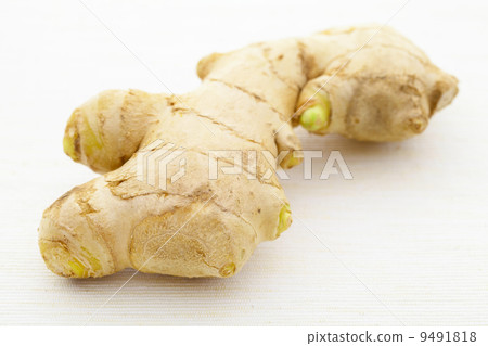 ginger ginger 9491818