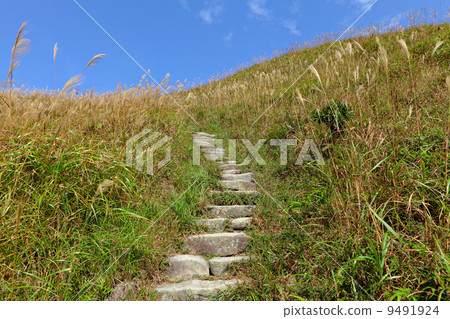 mountain path for hiking 9491924