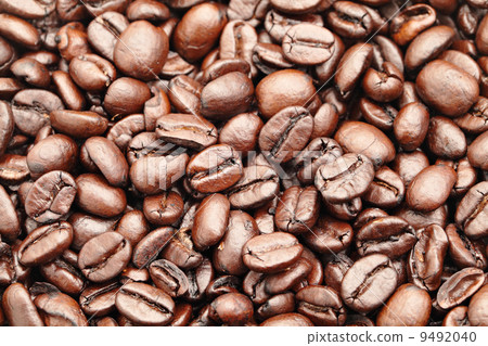 coffee bean 9492040