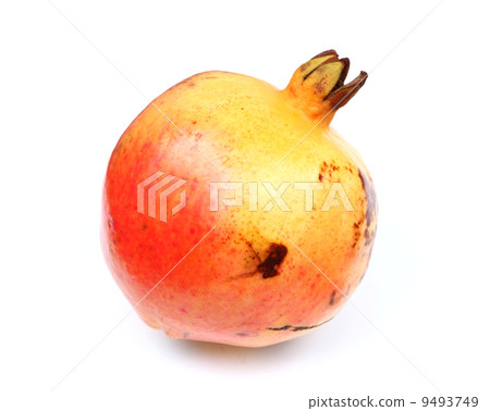 pomegranate pomegranate 9493749