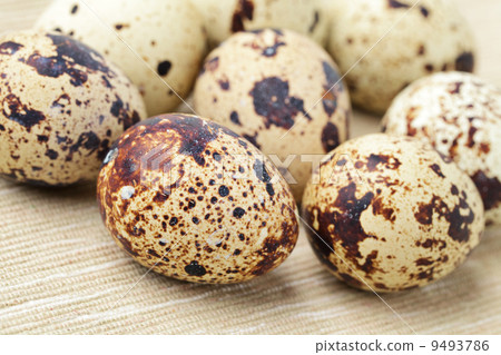 quail eggs 9493786