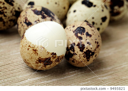 Group of quail eggs Group of quail eggs 9493821