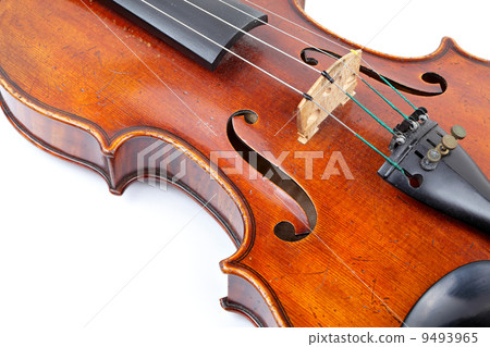 violin violin 9493965