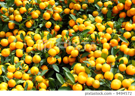 Mandarin for Chinese New Year 9494572