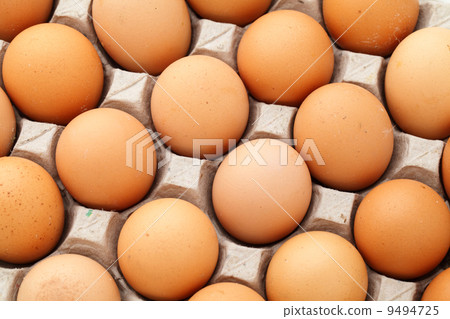 Farm egg in paper container Farm egg in paper container 9494725