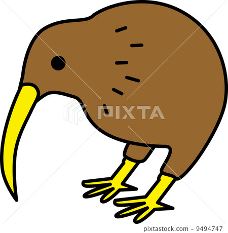 kiwi 9494747