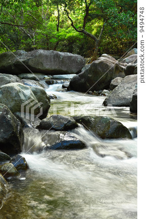 water spring in forest 9494748