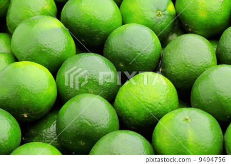lime citrus fruit 9494756