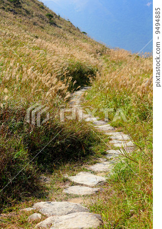 mountain path 9494885