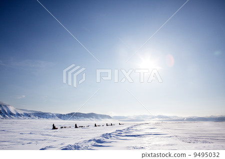 Dog Sled Expedition 9495032