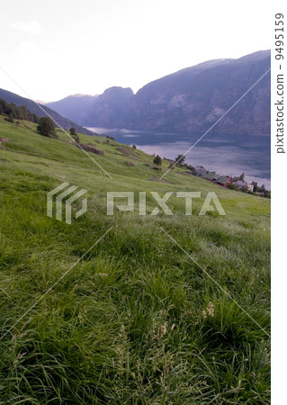 Evening Fjord View 9495159