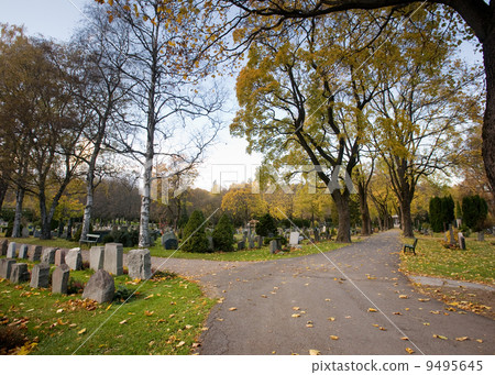 Graveyard Graveyard 9495645