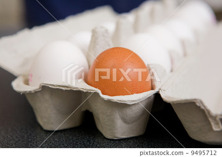 Brown Egg 9495712