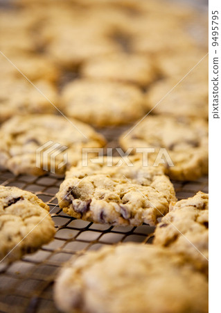 Fresh Cookies 9495795