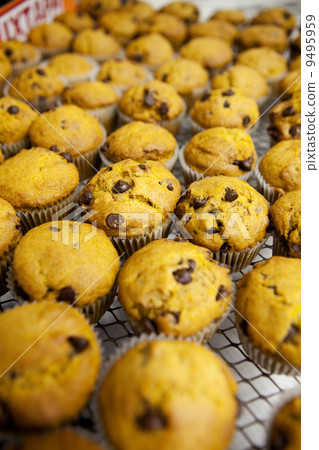 Fresh Muffins Fresh Muffins 9495959