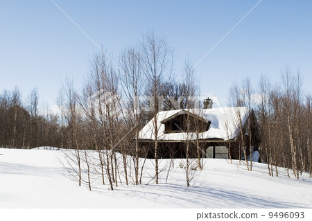 Winter Forest Cabin 9496093