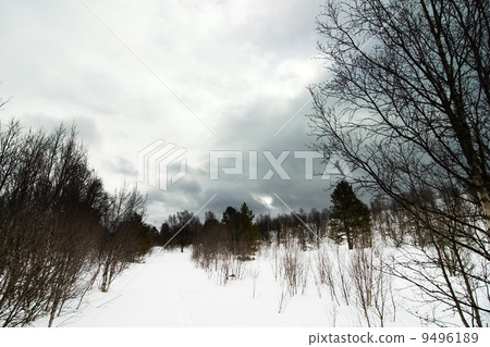 Winter Moody Landscape 9496189