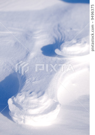 Polar Bear Track Polar Bear Track 9496375