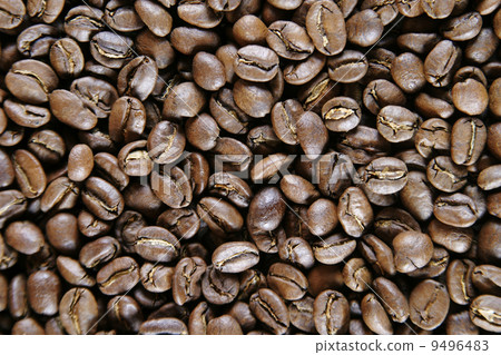 Light Roast Beans 9496483