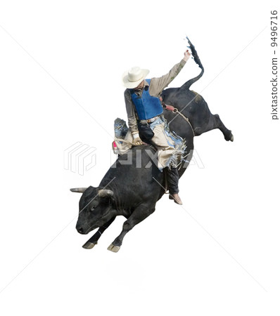 Bull Riding Bull Riding 9496716