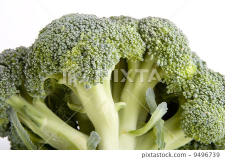 Broccoli Broccoli 9496739