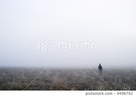 Fog Walk Fog Walk 9496782