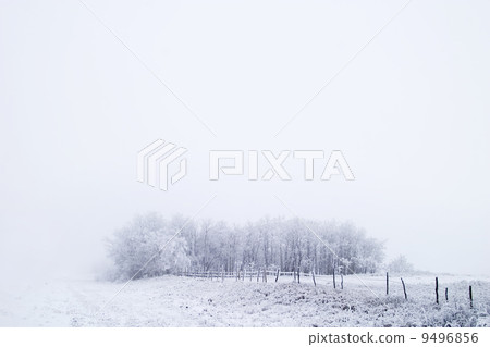 Prairie Fog 9496856