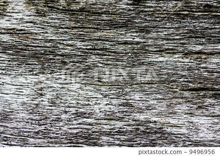 Wood Texture Wood Texture 9496956