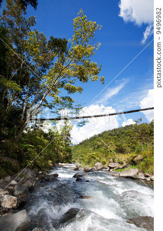 Mountain Stream 9496982