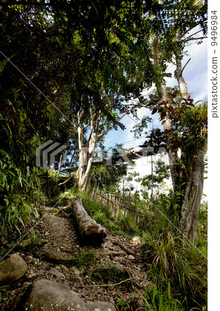 Tropical Mountain Trail Tropical Mountain Trail 9496984