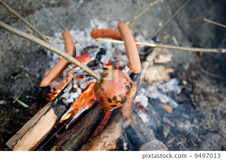 Vegetarian Wiener Roast Vegetarian Wiener Roast 9497013