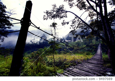 Hanging Bridge Fear Hanging Bridge Fear 9497089
