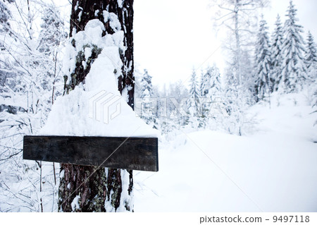 Winter Landscape - Blank Sign Winter Landscape - Blank Sign 9497118