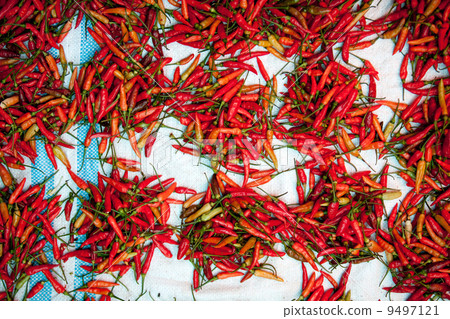 Peppers at Market Peppers at Market 9497121