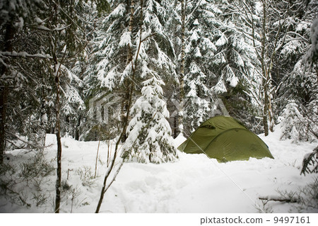 Tent in Snow 9497161