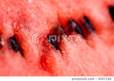Watermelon Background Watermelon Background 9497288