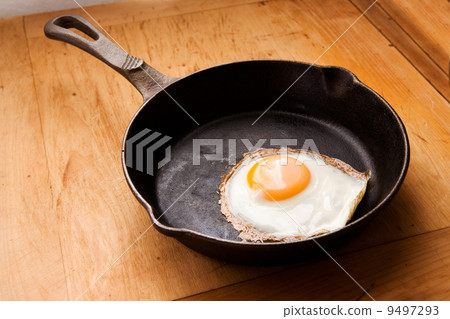 Fried Egg Fried Egg 9497293