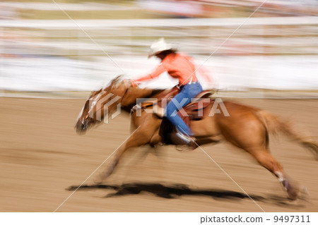 Speeding Horse 9497311