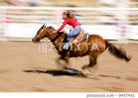 Speed Horse 9497491