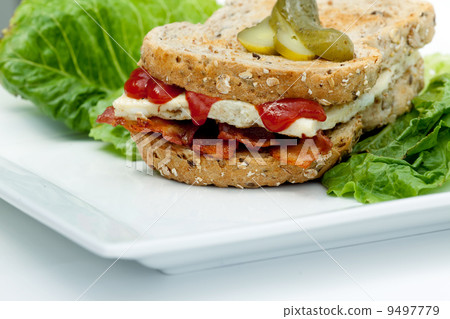 Denver Sandwich Denver Sandwich 9497779