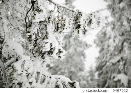 Wind Blown Snow Detail Wind Blown Snow Detail 9497932
