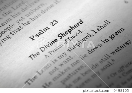 Psalms 23 9498105