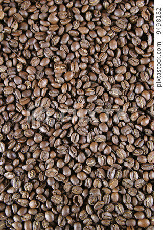 Light Roast Beans 9498182